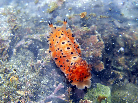 e0041143_22434023.jpg
