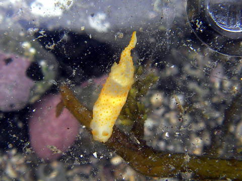 e0041143_22451124.jpg