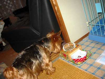 c0033145_1943862.jpg