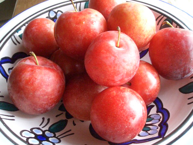 f0009451_740169.jpg