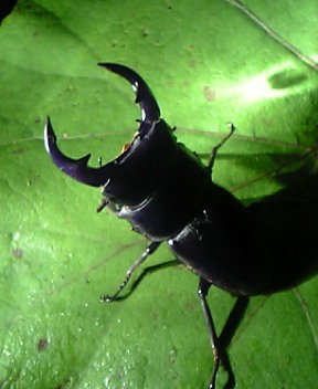 d0016155_11372990.jpg