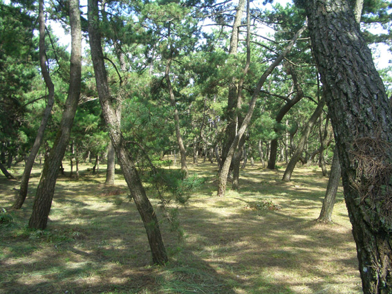 b0002156_2315691.jpg