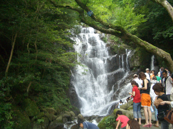 b0002156_23185188.jpg