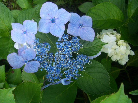b0002156_23224379.jpg