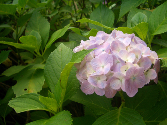 b0002156_2323793.jpg