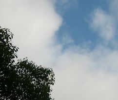b0088361_10351136.jpg