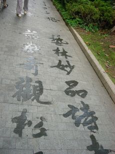 b0088361_10405698.jpg