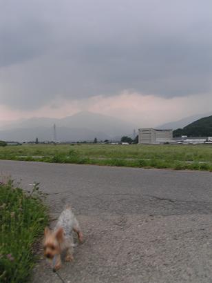 f0067361_061979.jpg