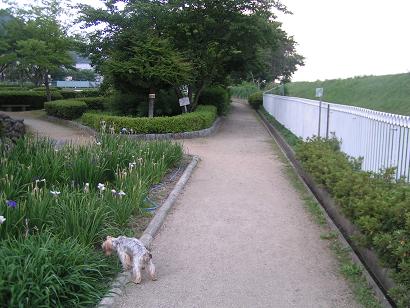 f0067361_082443.jpg