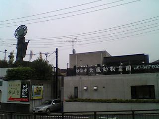 e0019967_11294312.jpg