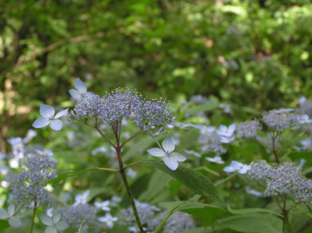 c0042869_20413569.jpg