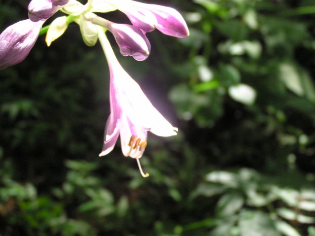 c0042869_20415097.jpg
