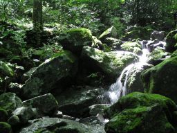 c0042869_2041724.jpg