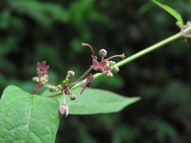 c0042869_2042763.jpg