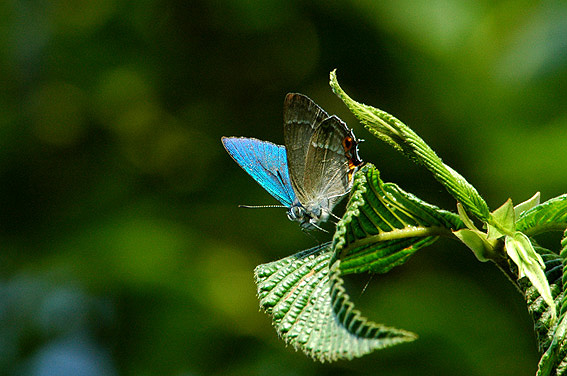 f0090680_1542325.jpg
