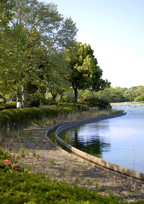 c0009981_5582237.jpg