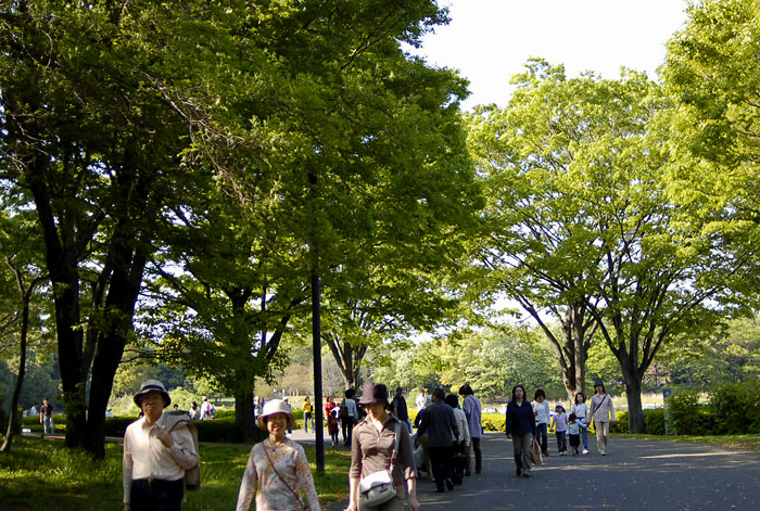 c0009981_5583174.jpg