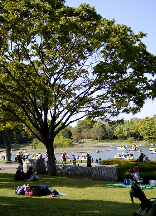 c0009981_558487.jpg