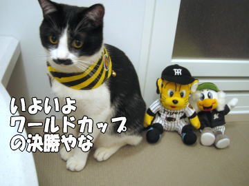 b0041182_21174663.jpg