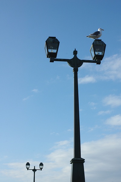e0051186_2134989.jpg