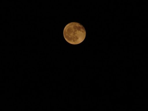 e0005887_20541787.jpg