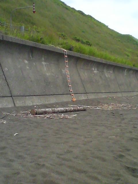 f0059388_18385536.jpg