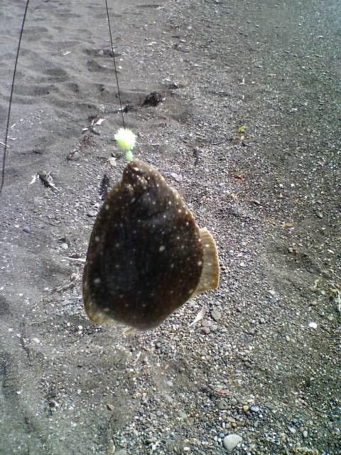 f0059388_1842349.jpg
