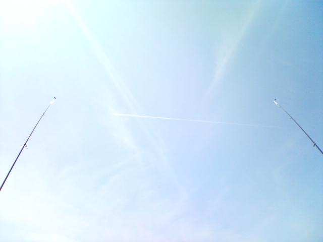 f0059388_18441660.jpg