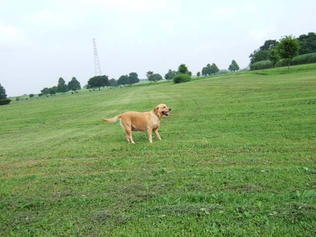 f0054290_22324436.jpg