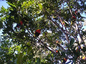 f0093592_15235240.jpg