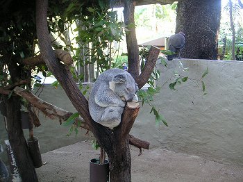 f0093592_15244052.jpg