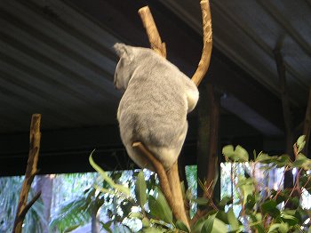 f0093592_15245267.jpg