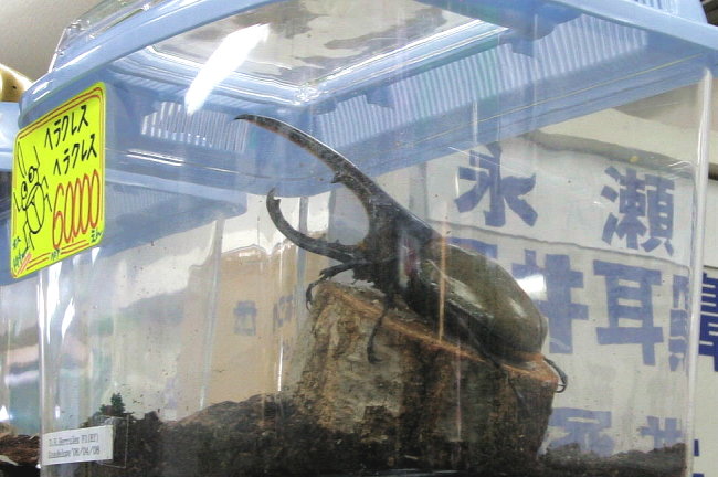 c0025895_2343935.jpg