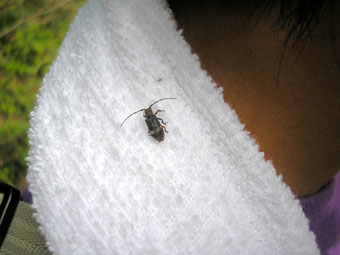 e0083097_1147340.jpg