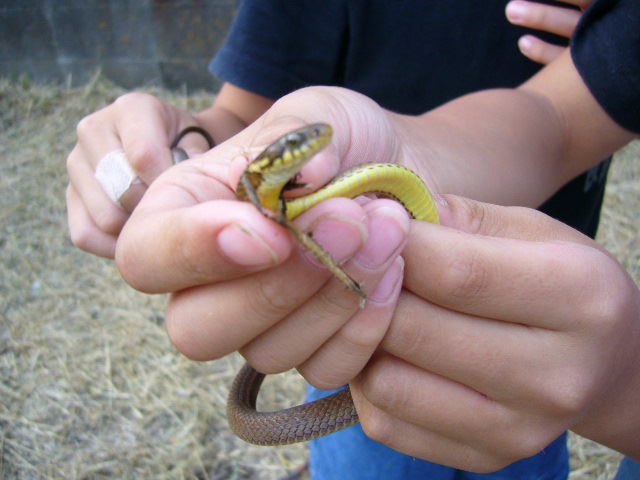 d0070702_2337291.jpg