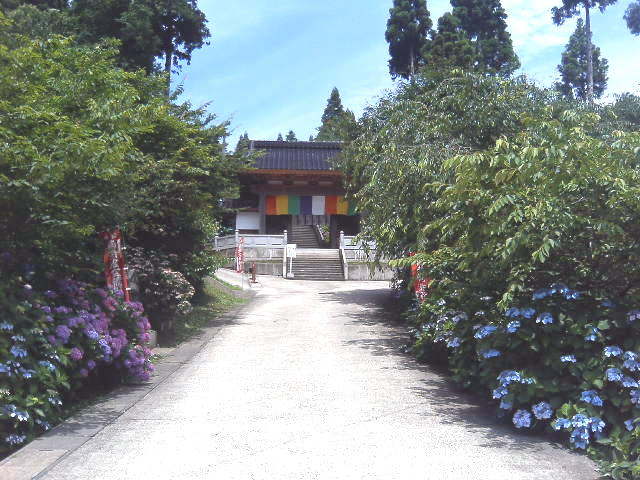 a0072808_23595063.jpg