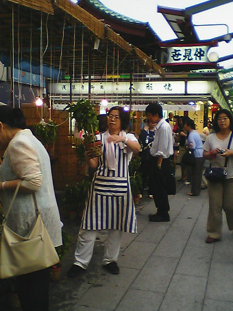 a0043512_23251571.jpg