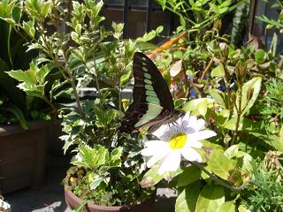 f0000521_1218059.jpg