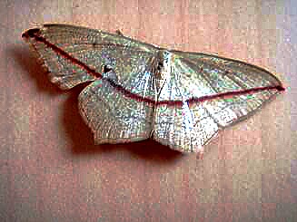 f0000521_13254137.jpg