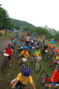 d0023725_1461238.jpg
