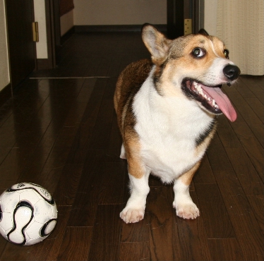 e0071225_254141.jpg