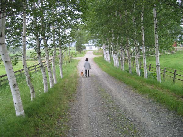 e0077528_22313729.jpg