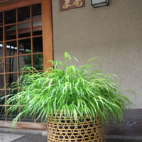 d0033734_12205022.jpg