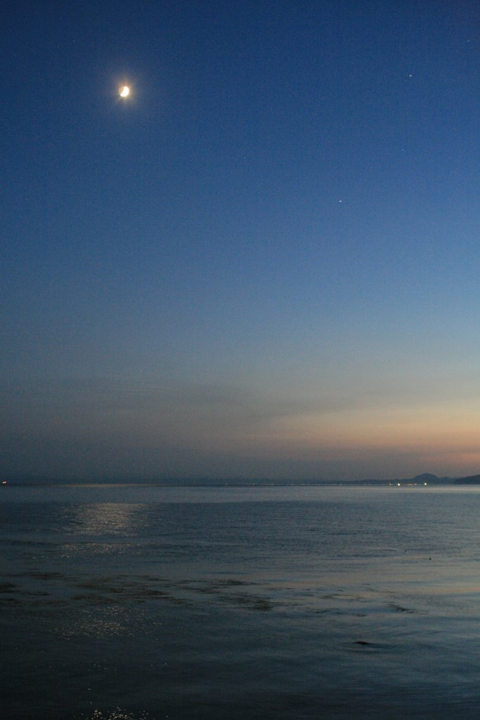 d0001745_1402166.jpg
