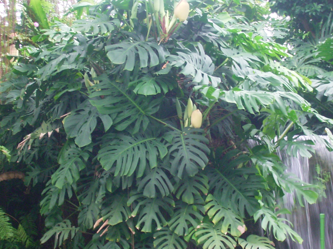 f0053847_21202994.jpg