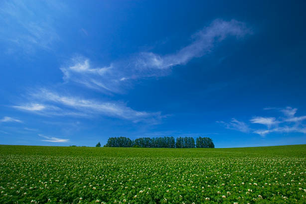 f0104847_21575480.jpg
