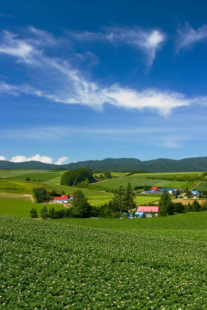 f0104847_2223757.jpg