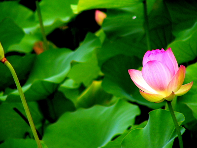 a0024250_23203673.jpg