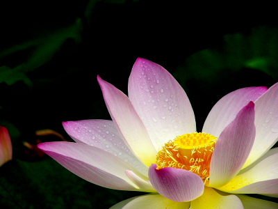 a0024250_23242692.jpg