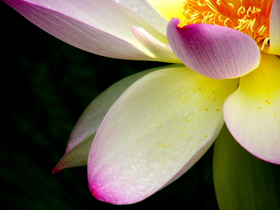 a0024250_23243752.jpg